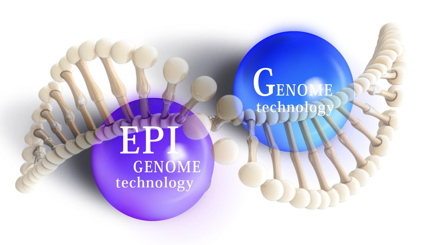 ゲノムエピゲノムイメージ図